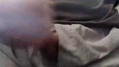 eat_a_peach2 online show from 02.11.25