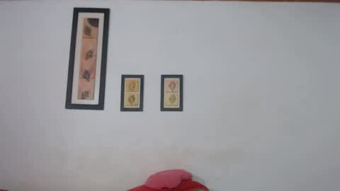 Snapshot of ebanoymarfil2 chatting on 01.20.25 Laraand Drake online show from 01.20.25