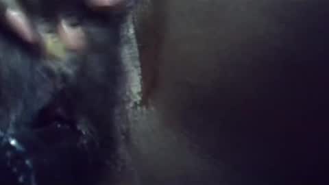 Snapshot of ebonykiki chatting on 01.23.25 ebonykiki online show from 01.23.25