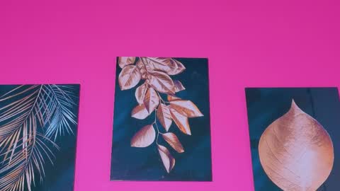 ebonyndsavage online show from 04.09.26