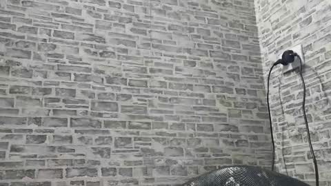 edithmanning online show from 01.18.25