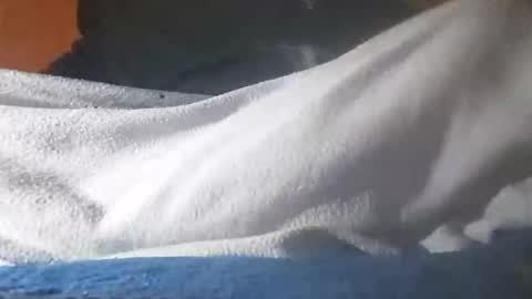 Davide online show from 11.12.25