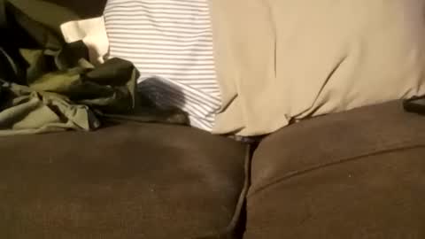 edmore1215 online show from 12.11.24