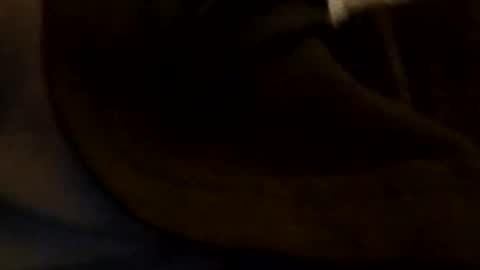 edmore1215 online show from 01.05.25