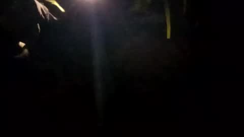 edmore1215 online show from 01.14.25