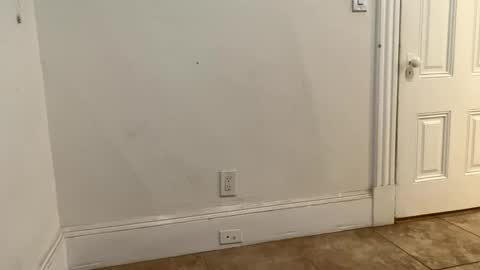 edvmendez1766 online show from 11.18.25