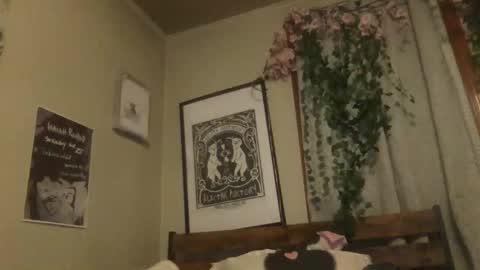 eggnog_and_booty online show from 05.18.26