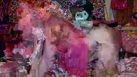 Sparkly Haile online show from 02.18.25