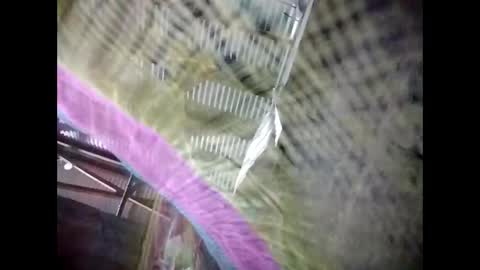 eirma7991 online show from 02.25.26