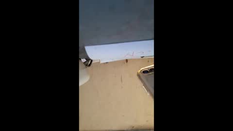 Snapshot of elaine33mae chatting on 03.03.26 elaine33mae online show from 03.03.26