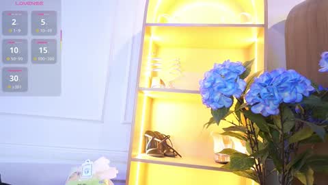 Elasummeer online show from 11.13.25