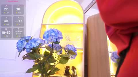 Elasummeer online show from 01.07.26