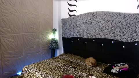 ELEKTRA  hii my birthday is tomorrow but I will celebrate it on Sunday Ill wait for you online show from 12.31.24