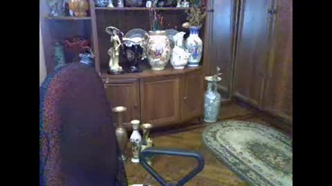 ElenaZed online show from 11.05.25