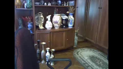 Snapshot of elenazed chatting on 02.13.26 ElenaZed online show from 02.13.26