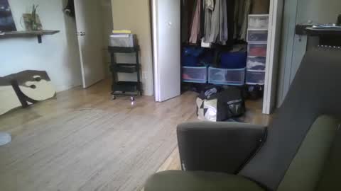 fox online show from 12.26.24