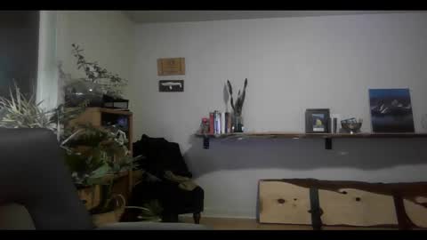 fox online show from 02.11.25