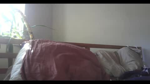 fox online show from 02.11.25