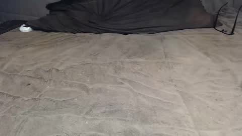 elgsslt online show from 04.08.26