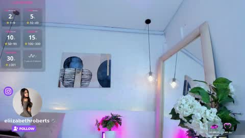 E L I I Z A B E T H   online show from 02.19.25