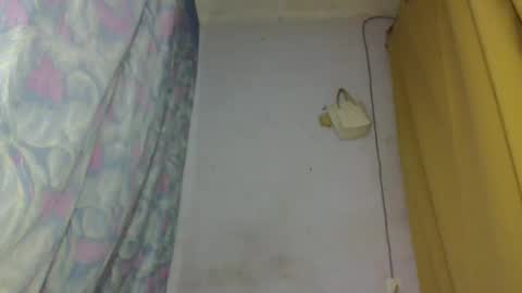 elina981 online show from 04.05.26