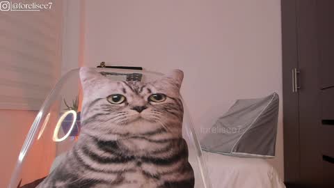 Eli online show from 12.07.24