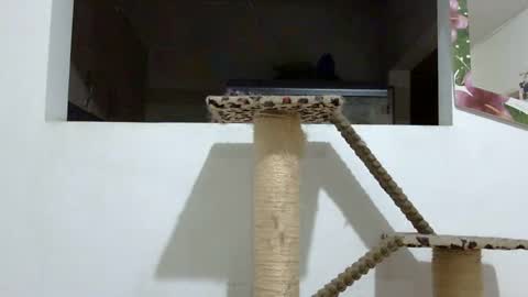 Elizabeth Martinez  online show from 01.18.25