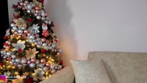 Snapshot of ellegisellee chatting on 12.08.24 Yiss online show from 12.08.24