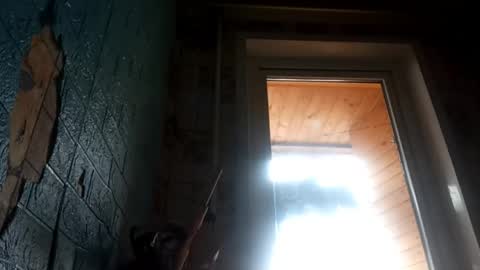 Alisa online show from 04.25.26