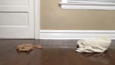 Bi Bro online show from 10.15.25