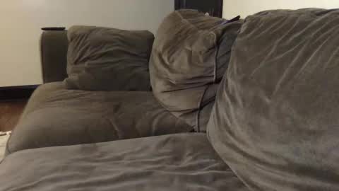 Bi Bro online show from 02.02.26