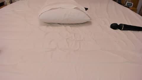 Ely online show from 01.15.26