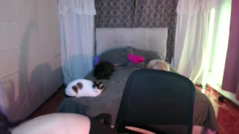 Snapshot of emily_swan_04 chatting on 04.26.26 Emily Swan online show from 04.26.26