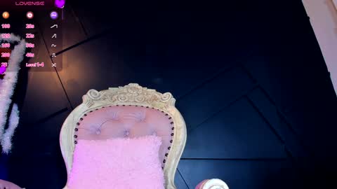 Snapshot of emilyh_ chatting on 01.08.25 Emily online show from 01.08.25