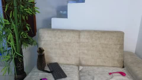 Snapshot of emma_blue_ chatting on 10.20.25 Emma Blue modelo independiente online show from 10.20.25