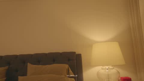 Snapshot of emma_lu1 chatting on 01.31.26 emma_lu1 online show from 01.31.26