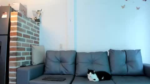 Snapshot of emmabrantt chatting on 02.18.26 Emma Brant online show from 02.18.26