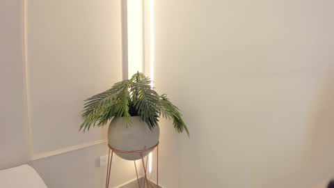 Snapshot of emmiily_z chatting on 01.19.25 Emmiily online show from 01.19.25