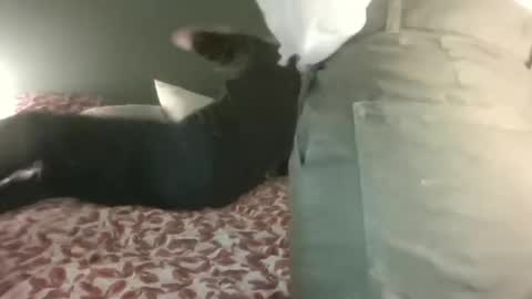 Steph et Eric online show from 02.28.25