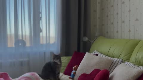 Snapshot of estella_elwood chatting on 02.03.26 Estella online show from 02.03.26