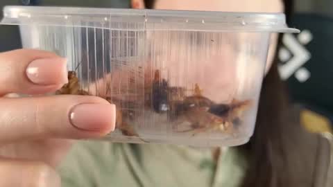 kelt0901 - my channel in telegra online show from 02.21.26