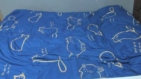 Eva online show from 02.07.25