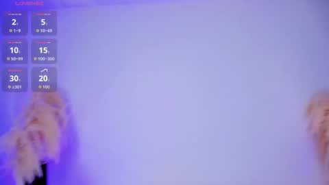 E V A N S online show from 10.12.25