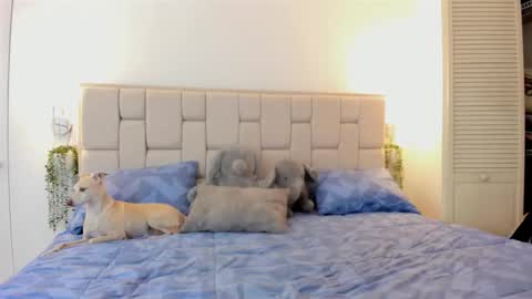 even_scoty online show from 10.25.25