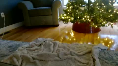 Everleighmae online show from 12.09.24