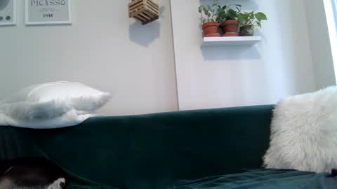 Badblondebunny online show from 09.22.25