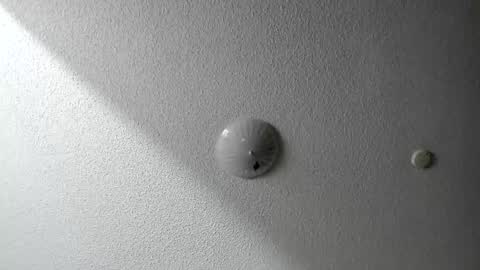 Snapshot of evparrish chatting on 01.20.25 EV Parrish online show from 01.20.25