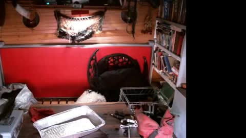 EvPierce online show from 04.11.26