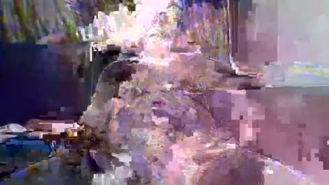 Naaktloper online show from 02.10.26