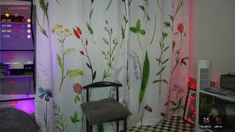 Mary online show from 12.05.24